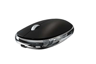 Pusat Business Pro Wireless Maus