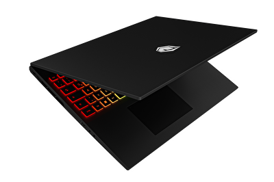 Tulpar T6 V1.1 Series 16" Gaming Laptop