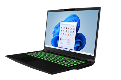 Tulpar T7 V20.6 Series 17,3 Gaming Laptop