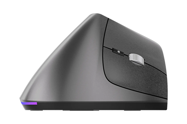 Pusat Ergo Wireless Maus