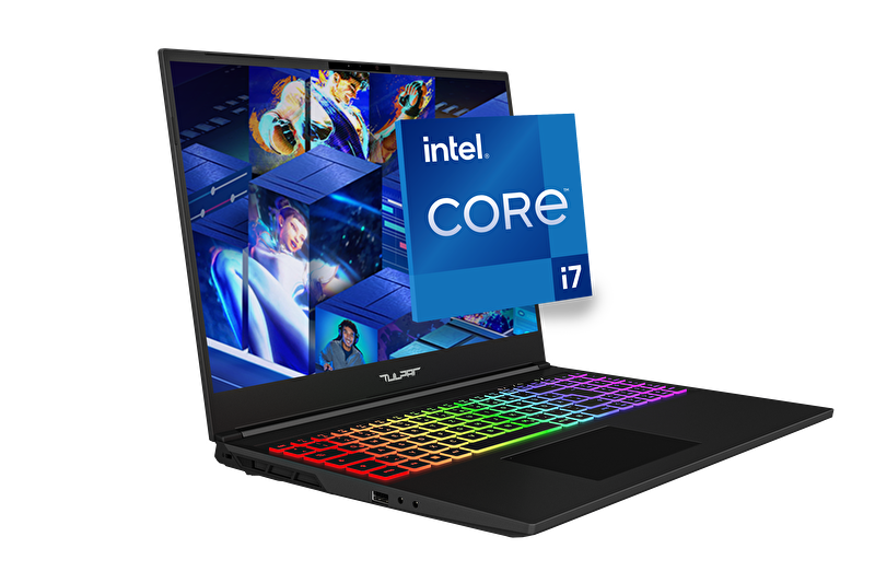 Tulpar T6 V1.1 Series 16" Gaming Laptop