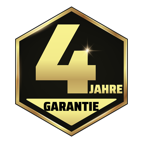 4-year-logo
