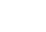 icon-1